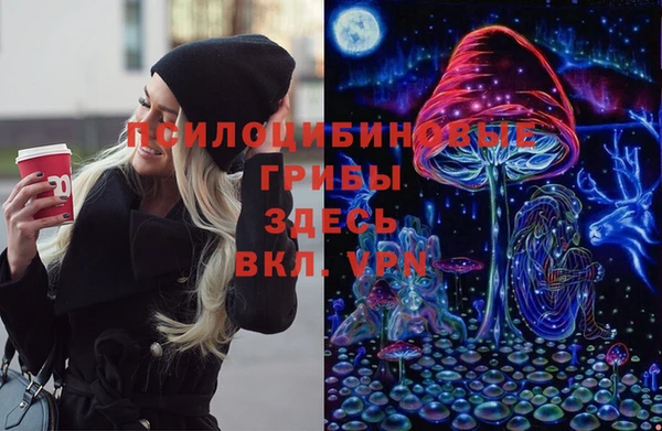 ПСИЛОЦИБИНОВЫЕ ГРИБЫ Гусев
