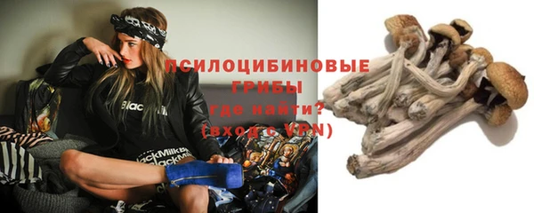 стафф Гусиноозёрск