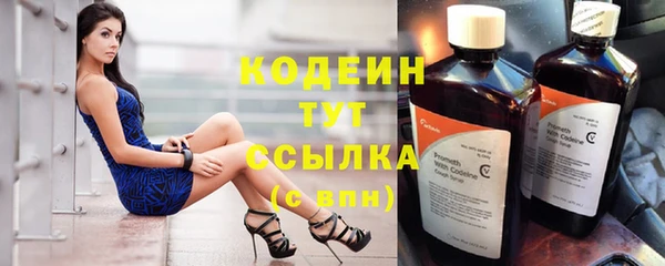 ПСИЛОЦИБИНОВЫЕ ГРИБЫ Гусев
