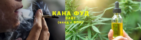ПСИЛОЦИБИНОВЫЕ ГРИБЫ Гусев