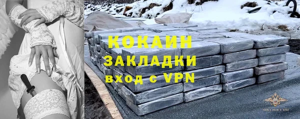 ПСИЛОЦИБИНОВЫЕ ГРИБЫ Гусев
