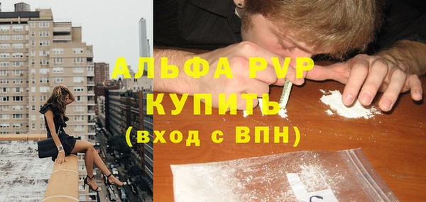 ПСИЛОЦИБИНОВЫЕ ГРИБЫ Гусев