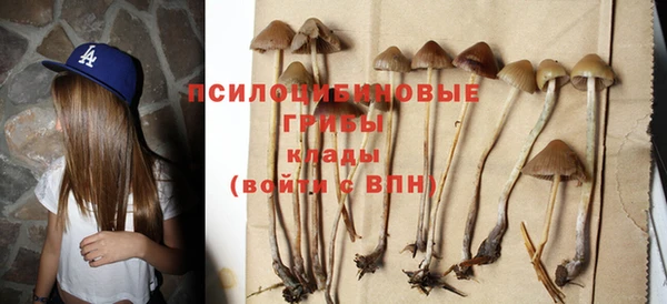 прущий лед Гусь-Хрустальный